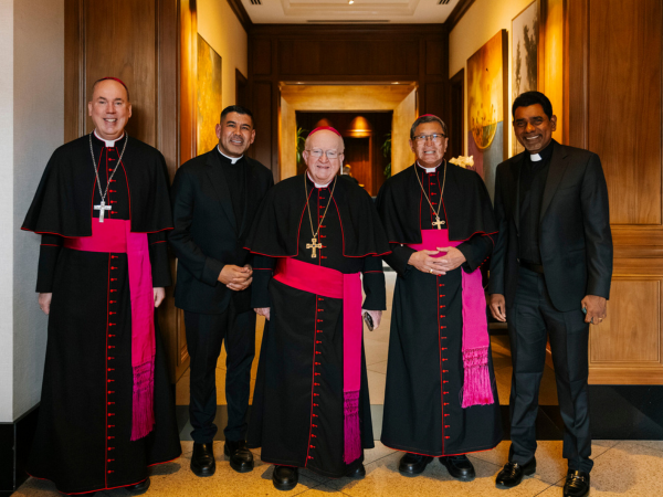 SUPPORT FOR A PAPAL INITIATIVE