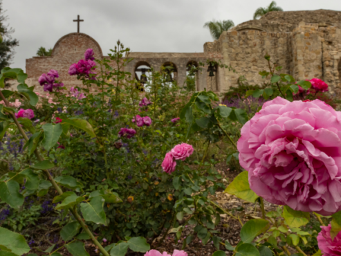 A Good Time Of Year For Young Adults To Spring Into Dating